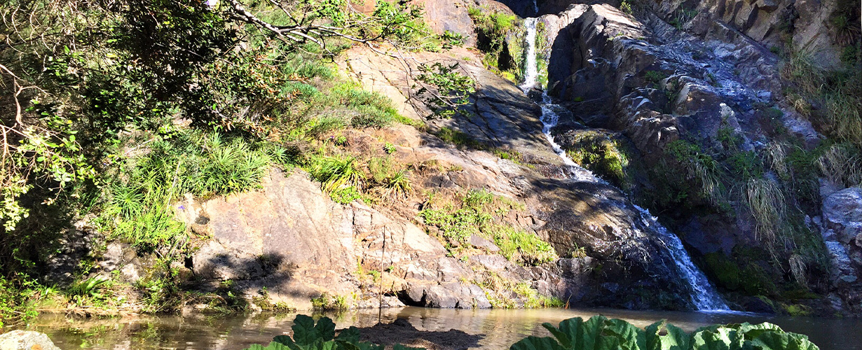 Actividades pura vida puertecillo